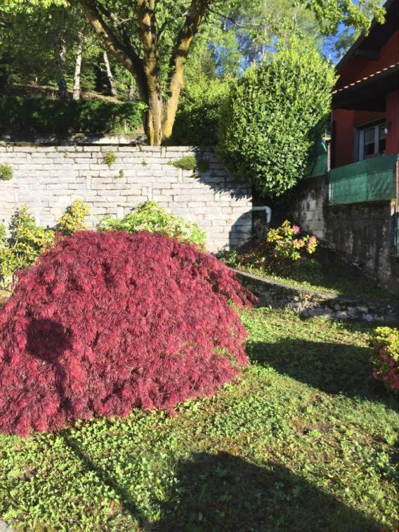 Villa Assunta Premeno المظهر الخارجي الصورة